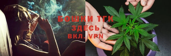 mix Богородицк