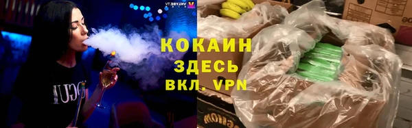 mdpv Богородск