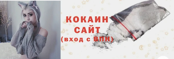 mix Богородицк