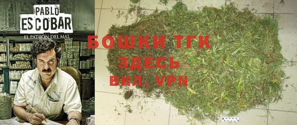 PSILOCYBIN Снежногорск