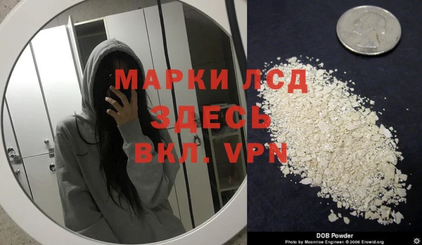 mdpv Богородск