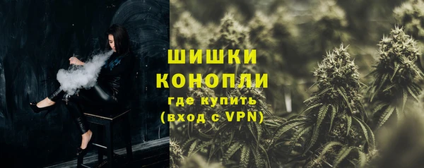 mix Богородицк