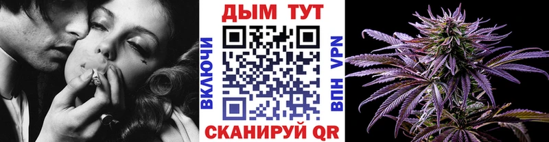 как найти наркотики  Выборг  MEGA ссылки  Бошки марихуана Bruce Banner 